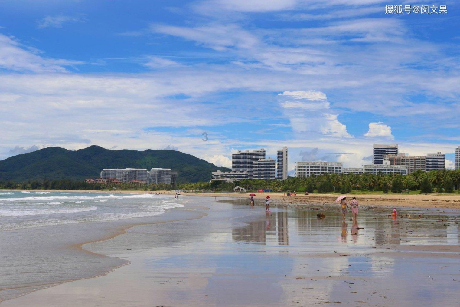 救援受困的鹭